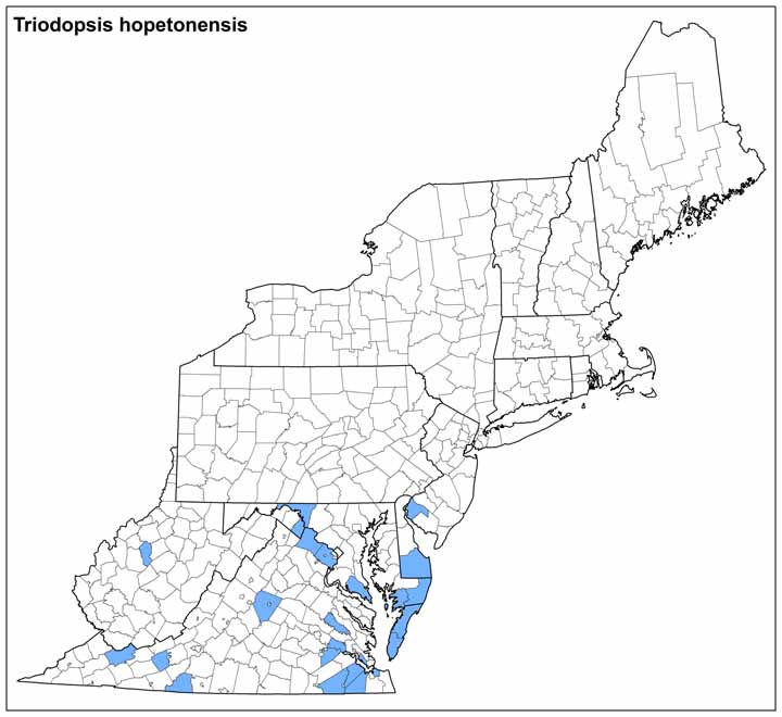 Triodopsis hopetonensis Range Map